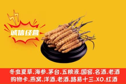 湘潭回收冬虫夏草